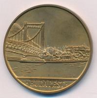 Lebó Ferenc (1960-) ~1990. Budapest - Erzsébet híd, Buda egyoldalas bronz emlékérem (42mm) T:BU patina, ujjlenyomat