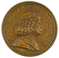 DN Mathias Rex - Hungariae Mátyás Király reneszánsz plakettjének modern, egyoldalas bronz öntvénye (83mm) T:AU patina