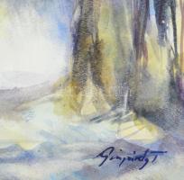 Gáspárdy Tibor (1960-): Soproni városrészlet. Akvarell, papír, jelzett, 63,5×46,5 cm, üvegezett fake...