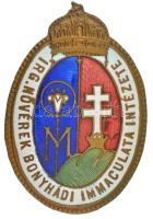 ~1930. Irgalmas Nővérek Bonyhádi Immaculata Intézete zománcozott fém jelvény (45x31mm) T:AU