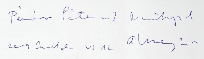 Aknay János: Égi és földi geometria. A művész, Aknay János (1949-) a Nemzet Művésze címmel kitüntete...