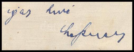 1942 Bp., Lessner Lajos (1879-1948) cégtulajdonos, a tapolcai zsidó borkereskedő Lessner család tagj...