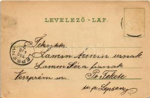 1900 Boldogasszony, Fertőboldogasszony, Frauenkirchen; szélmalom, templom / Kirche, Windmühle / chur...