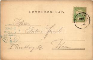 1902 Köpcsény, Kopcany, Kittsee; Dr. Herceg Batthyány László kastélya / castle (EK)