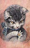 Cat with daisy s: Arthur Thiele (EK)