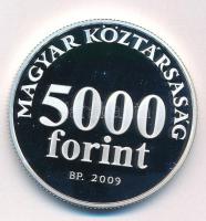 2009. 5000Ft Ag "Radnóti Miklós születésének 100. évfordulója" sérült kapszulában T:PP fol...