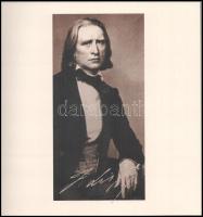 Ex libris Musica Liszt Ferenc 2011. Szerk.: Modrián Vilmos. Tatabánya, 2011., Közművelődés Háza Közh...