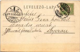 1902 Kismarton, Eisenstadt; Felső és Alsó Kismartonhegy. Anton Pinter kiadása / Ober- und Unterberg ...