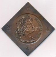 Fritz Mihály (1947-) 1990. "Mathias Rex" Mátyás király halálának 500. évfordulója, bronz csegely emlékérem (51x51mm) T:AU Adamo SF15