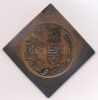 Fritz Mihály (1947-) 1990. "Mathias Rex" Mátyás király halálának 500. évfordulója, bronz c...