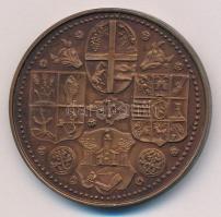 Tóth Sándor (1933-2019) 1985. "Szabolcs vezér - Nyíregyháza" kétoldalas bronz emlékérem (4...