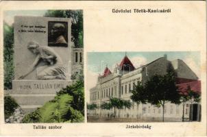 1917 Törökkanizsa, Nova Kanjiza, Novi Knezevac; Járásbíróság, Vizeki Tallián Emil Torontál vármegye főszolgabírája, világutazó, északsarki utazó szobor. Schweiger Hermanné utóda kiadása / county court, statue of the Judge of Torontál County (EK)