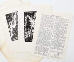 Molnár Dénes: Csíki vártemplomok. Erdély Album. [Marosvásárhely, 1993.], Impress, 2 p.+15 t. 15+2 fa...