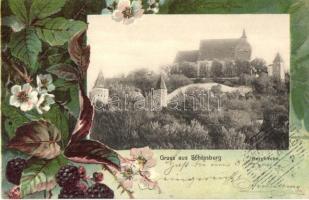 1902 Segesvár, Schässburg, Sighisoara; Bergkirche / Biserica din Deal / Evangélikus vártemplom. Kiadja Fritz Teutsch, szecessziós virágos litho keret / Lutheran castle church. Art Nouveau, floral, litho frame