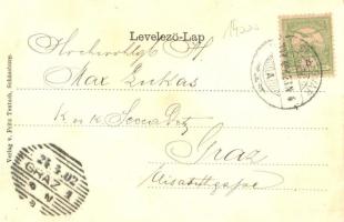 1902 Segesvár, Schässburg, Sighisoara; Bergkirche / Biserica din Deal / Evangélikus vártemplom. Kiad...