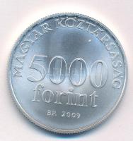 2009. 5000Ft Ag "Radnóti Miklós" kapszulában T:BU minimális patina Adamo EM220