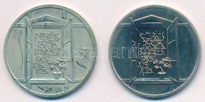 1985. 100Ft Cu-Ni "Kulturális Fórum" kapszulában T:BU,PP patina Adamo EM88