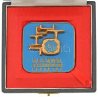 ~1970-1980. VASVILL Kereskedelmi Vállalat festett bronz emlékérem eredeti tokban (61x61mm) T:UNC