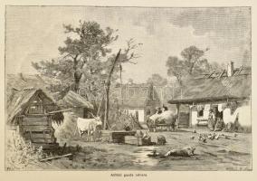 Az Osztrák-Magyar Monarchia írásban és képben. VII. Magyarország II. köt.: Az Alföld. Bp., 1891, Mag...