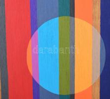 Haraszty Zsófia (1975-): Napsütötte. Akril, falemez, jelzett a hátoldalán. 106,5x33,5 cm. Fakeretben...