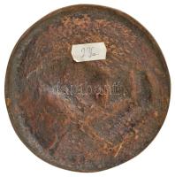 Vígh Tamás (1926-2010) 1957. "Avicenna - ABV ALI EL HOSSEN BEN ABDALLAH IBN SINA" perzsa s...