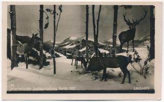 1937 Internationale Jagdausstellung Berlin, Ungarn / Magyar pavilon belseje a az 1937-es berlini nemzetközi vadászati kiállításon / International hunting exhibition, Hungarian pavilion interior. photo