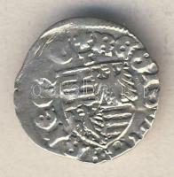 Zsigmond 1387-1437. Denár Ag ÉH.449a T:3