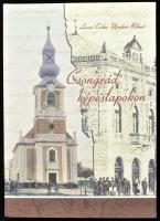Lovas Erika - Ujszászi Róbert: Csongrád képeslapokon. Csongrád, 2008., Csongrád Város Önkormányzata. 2., javított kiadás. Gazdag képanyaggal illusztrált. Kiadói kartonált papírkötés.