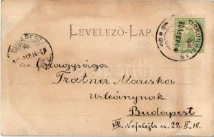 1905 Kiskunhalas, Halas; Esti hangulat a Sós-tón szeptemberben. photo (fl)