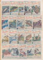 37 db ausztrál, állatvilágos gyufacímke