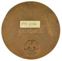 Gáti Gábor (1937-) 1982. "Finommechanikai Vállalat" egyoldalas bronz emlékplakett (107mm) ...