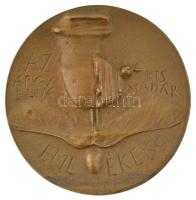 Ligeti Erika (1934-2004) DN Vujicsics Tihamér / Az árgyélus kis madár emlékére bronz emlékplakett (~85mm) T:UNC