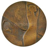 DN "A rehabilitációért - Magyar Rehabilitációs Társaság" kétoldalas bronz emlékplakett (11...