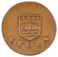 Kiss Nagy András (1930-1997) ~1980. "Székely Aladár emlékére / Gyula" bronz emlékplakett (...