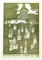 Erdélyi református templomok és tornyok. Tranysylvánia Képeskönyvek. Bp., 1989, Polygon. Gazdag képa...