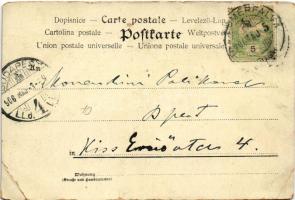 1906 Painter cat. litho (vágott / cut)