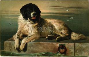 A distinguished Member of the humane Society. Stengel & Co. litho s: Landseer (EK)