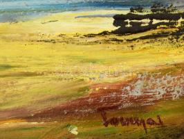 Tornyai jelzéssel: Hortobágy Olaj, farost, keretben 16x22 cm