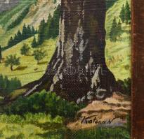 Katona jelzéssel: Hegyvidéki táj. Olaj, vászon. Keretben 45x30 cm