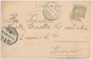 1905 Prázsmár, Tartlau, Presmer, Prejmer; Kirchenburg / Evangélikus erődtemplom. Tartler & Schre...