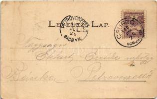 1900 Csurgó, utca. Vágó Gyula kiadása (fl)