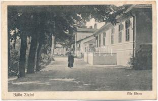 Zajzon, Zaizon-fürdő, Zajzonfürdő, Baile Zizini; Vila Elena / villa (r)