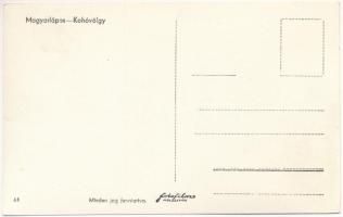 Kohóvölgy, Strambu-Baiut (Magyarlápos, Targu Lapus); Kohóromok / ruins of the metallurgy