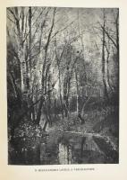 Petrovics Elek: Magyar mesterművek. Bp., 1936, Pesti Napló. Gazdag (nagyrészt fekete-fehér) képanyag...