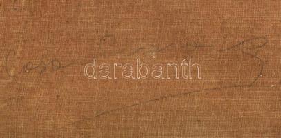 Jelzés nélkül, XIX. sz. festő: Táncosnő lenge öltözetben. Olaj, vászon. Apró sérülésekkel. 22,5x22 c...