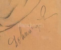 Basilides Barna (1903-1967): Dohnányi Ernő arcképe, 1942. Ceruza, papír. Basilides Barna által jelze...