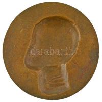 DN "Pozsonyi Fekete Ferencz MDCCCCXV" egyoldalas, öntött bronz plakett (110-111mm) T:UNC,A...