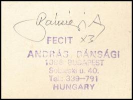 Bánsági András (1934-1993):Kós Károly portréja. Linómetszet, papír. Jelzett.10x7 cm