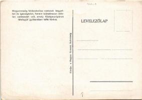 Les Etats du bassin danubien avant la guerre mondiale / Magyarország feldarabolása nemcsak kegyetlen...