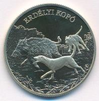 2023. 3000Ft Cu-Ni-Zn "Erdélyi kopó" kapszulában, prospektussal T:P